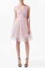 Zara-Tulle-Dress,-$99,-available-at-Zara-