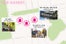 Haight_Map