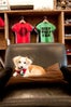 Cutest Shop Dogs In San Francisco Nooworks