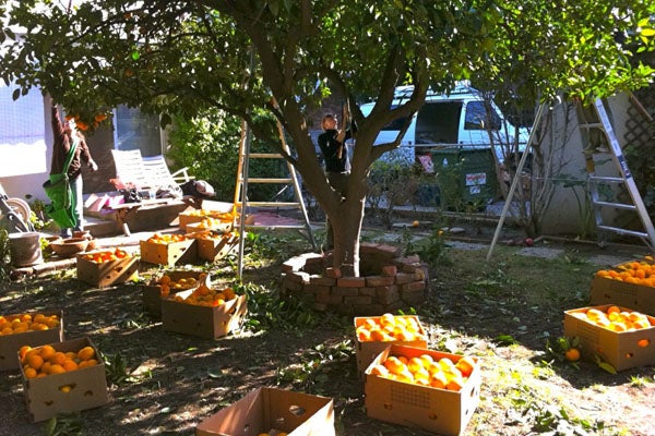 FoodForward2