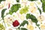 kale_smoothie_041_600x400