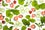 spinach_smoothie_020_600x400