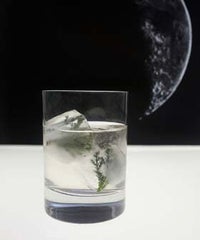 1-photo (14)