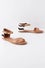 PasoFino-Anthropologie-$98