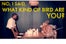 tumblr_maytzdSwrL1r8ud0io1_1280