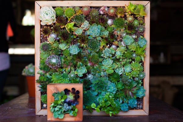 09_VERTICAL_GARDEN_FINAL copy