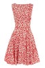 4-dorothy-perkins