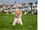 Boo2_blowups