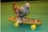PetShow5
