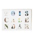 001_Ingalls_R29_0004_calendar_opener