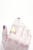 young frankk ring