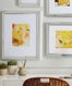 frames