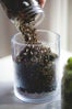 diy gardening project
