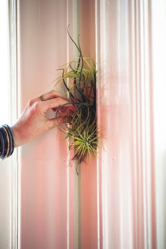 diy gardening project