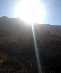 arizonaop