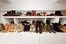 14_286_20120820_R29_Minkoff_Mindy_Best