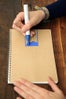 10_step12