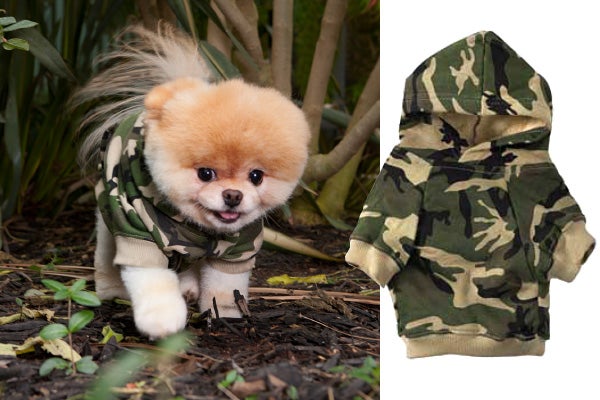 boo dog fashion