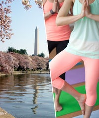 7 Totally Free (& Fun!) Things To Do In D.C. This Spring opener2