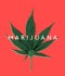 TruthAbout_Weed_Opener